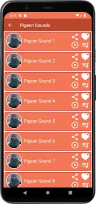 Pigeon Sounds android App screenshot 1