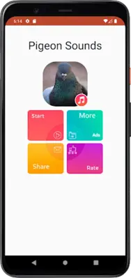 Pigeon Sounds android App screenshot 2