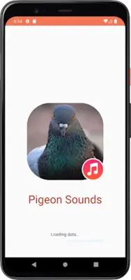 Pigeon Sounds android App screenshot 3